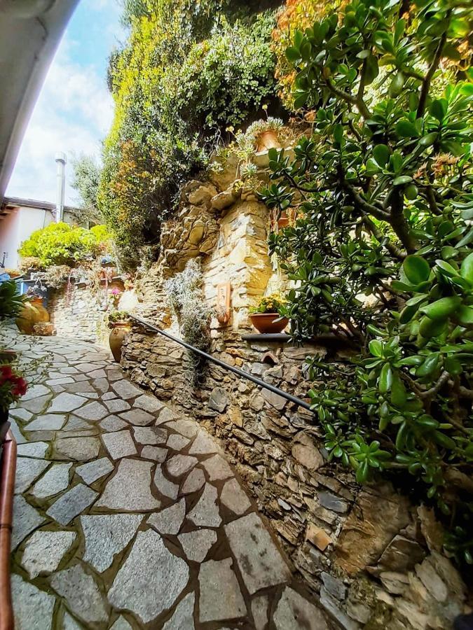Villa Ca Dell'Acciuga à Cervo Extérieur photo